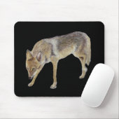 Tapis De Souris Coyote (Avec souris)