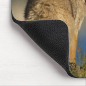 Tapis De Souris Coyote (Coin)