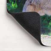 Tapis De Souris Coyote debout le long d'une route (Coin)