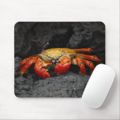 Tapis De Souris Crabe coloré (Avec souris)