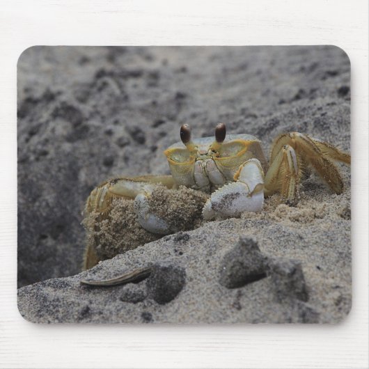 Tapis De Souris Crabe, Crustacé, Sable (Devant)