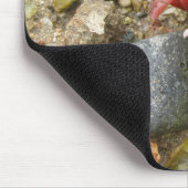 Tapis De Souris Crabe de Beach Fiddler (Coin)