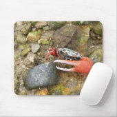 Tapis De Souris Crabe de Beach Fiddler (Avec souris)