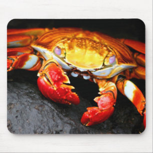 Tapis De Souris Crabe de Galapagos