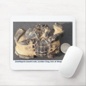 Tapis De Souris Crabe fossile de l'argile de Londres d'Eocene (Avec souris)