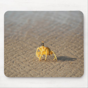 Tapis De Souris crabe, mer, océan