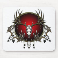 Crânes de cerfs communs