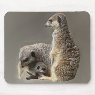 Tapis De Souris Cravates de famille