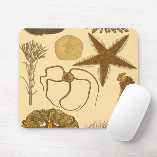 Tapis De Souris Créatures sous-marines (Avec souris)