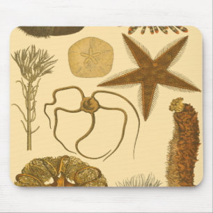 Tapis De Souris Créatures sous-marines de mer