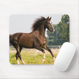 Tapis De Souris Créez votre propre photo de cheval de compagnie pe