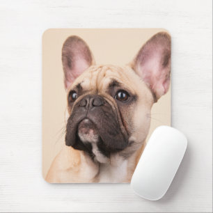 Tapis De Souris Créez Votre Propre Photo de Compagnon à Quatre Pat