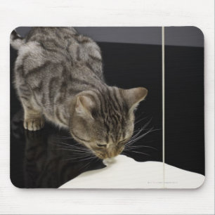 Tapis De Souris Crème potable argentée de chat tigré de planche