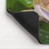Tapis De Souris Crested Gecko (Coin)