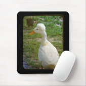 Tapis De Souris Crestie (Avec souris)