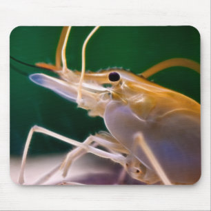 Tapis De Souris Crevette rougeoyante - Mousepad