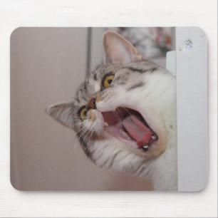 Tapis De Souris Criant British Shorthair