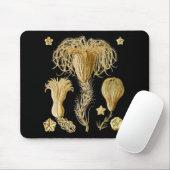 Tapis De Souris Crinoids (Avec souris)