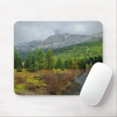 Tapis De Souris Crique d'or (Avec souris)