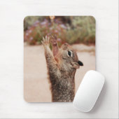 Tapis De Souris Crochet 2 d'écureuil (Avec souris)