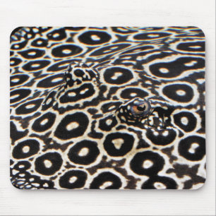 Tapis De Souris Crocodileの マ ド パ