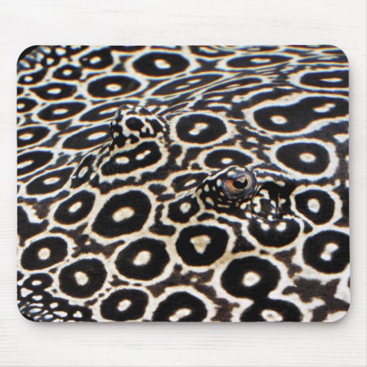 Tapis De Souris Crocodileの マ ド パ (Devant)