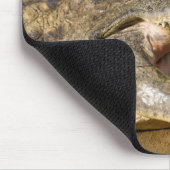 Tapis De Souris crocodile (Coin)