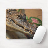 Tapis De Souris Crocodile (Avec souris)