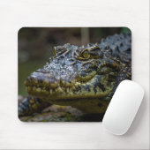 Tapis De Souris crocodile (Avec souris)