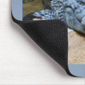 Tapis De Souris Crocodile (Coin)