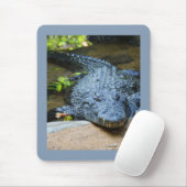 Tapis De Souris Crocodile (Avec souris)