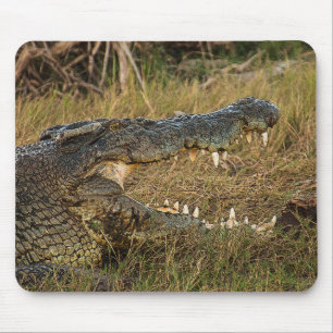 Tapis De Souris Crocodile