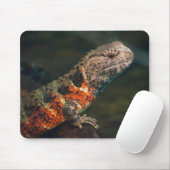 Tapis De Souris Crocodile de Shinisaurus (Avec souris)