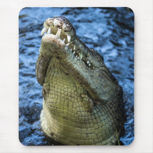 Tapis De Souris Crocodile Dents Eau (Devant)