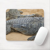 Tapis De Souris Crocodiles (Avec souris)