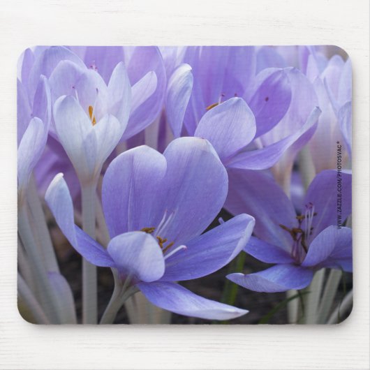 Tapis de souris Crocus (Devant)