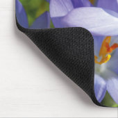 Tapis De Souris Crocus (Coin)
