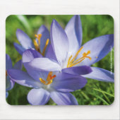 Tapis De Souris Crocus (Devant)