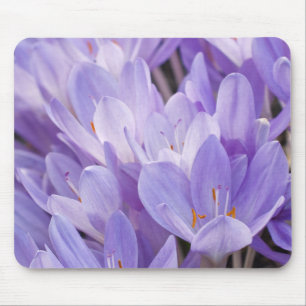 Tapis de souris Crocus