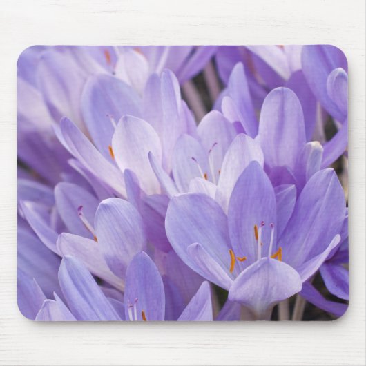 Tapis de souris Crocus (Devant)