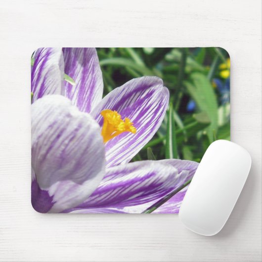 Tapis De Souris Crocus de printemps violet (Avec souris)