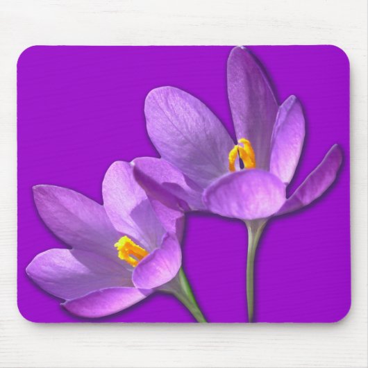 Tapis De Souris Crocus Fleur Mousepad Purple / Décor bleu Cadeaux (Devant)