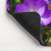 Tapis De Souris Crocus Lilac (Coin)