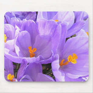 Tapis De Souris Crocus Mousepad