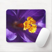 Tapis De Souris Crocus pourpre (Avec souris)