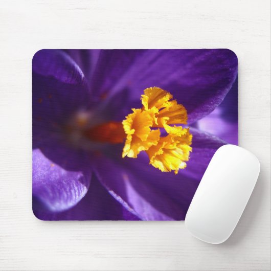 Tapis De Souris Crocus pourpre (Avec souris)