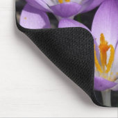 Tapis De Souris Crocus violets ensoleillés (Coin)