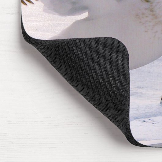 TAPIS DE SOURIS CROIRE_ (Coin)