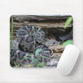 Tapis De Souris Crotale (Avec souris)