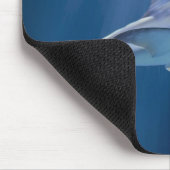 Tapis De Souris Cruising Shark (Coin)